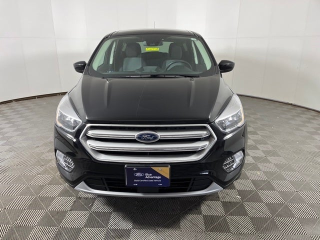 Used 2019 Ford Escape SE with VIN 1FMCU9GD8KUC54514 for sale in Shakopee, Minnesota
