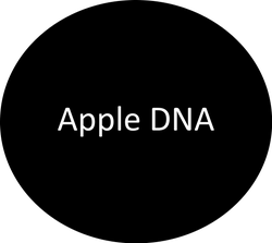 Apple DNA | Apple Ford Shakopee in Shakopee MN